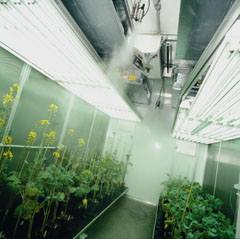 Klimatechnik Pflanzenzucht